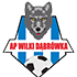 team-logo